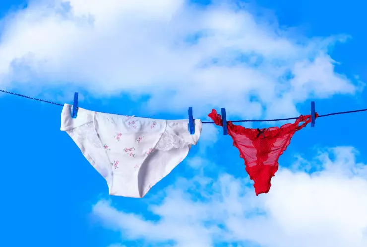 Cada fin de año, millones de personas repiten un ritual tan curioso: elegir el color de los calzones para recibir el Año Nuevo.Aquí te contamos los detalles de esta tradición.