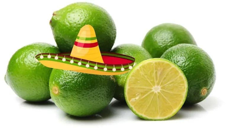 En México, el limón es identidad, tradición y sabor. Descubre por qué le ponemos limón prácticamente a todo, qué dicen los especialistas sobre esta costumbre y cómo esta práctica refleja la forma en que los mexicanos vivimos.
