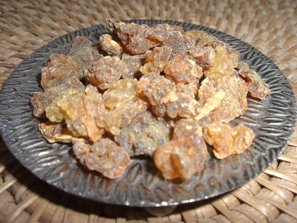 Los tres regalos entregados al Niño Jesús —oro, incienso y mirra— tienen un profundo significado espiritual y cultural. Descubre qué representa cada uno y por qué siguen siendo parte esencial de la historia del nacimiento más conocido del mundo.