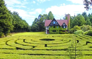 La Casa del Laberinto del Ajusco es uno de los destinos más interesantes de la CDMX. Descubre su historia y porque es único en medio de la naturaleza del Ajusco.