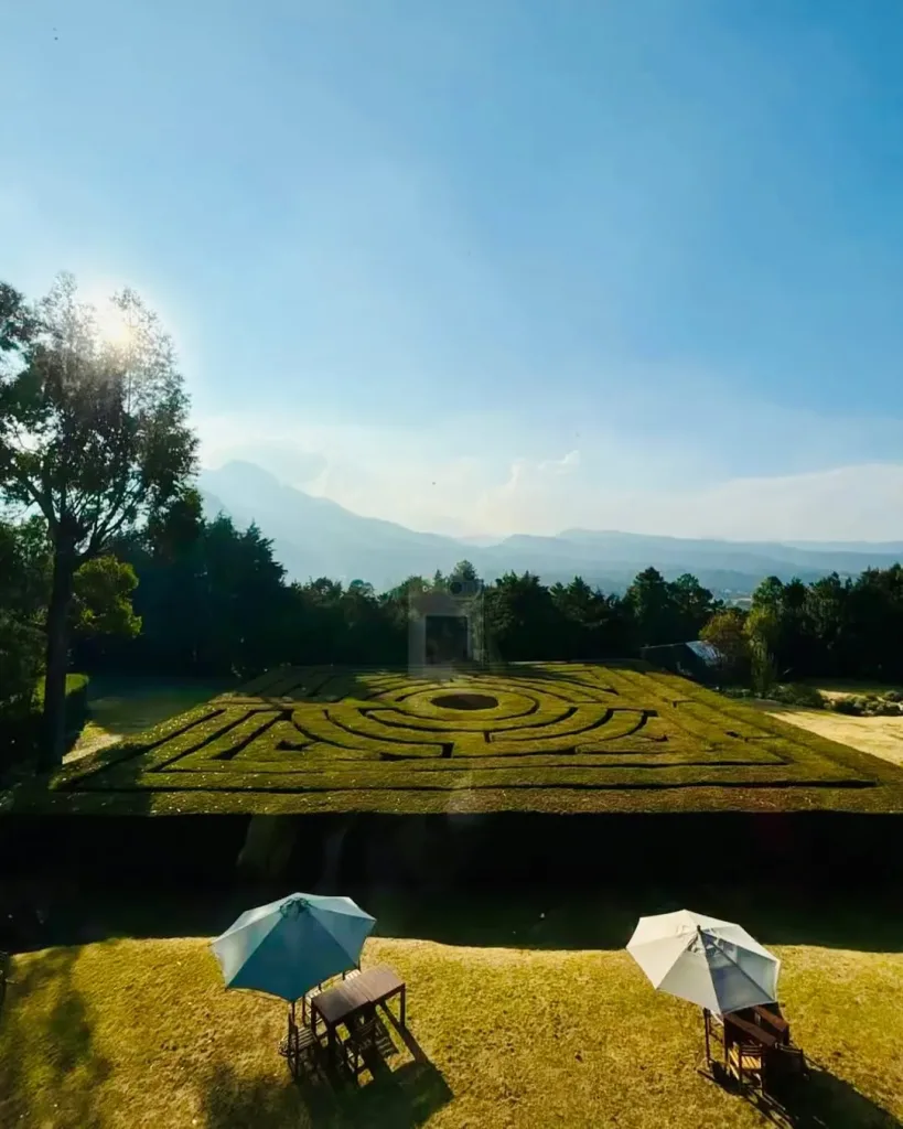 La Casa del Laberinto del Ajusco es uno de los destinos más interesantes de la CDMX. Descubre su historia y porque es único en medio de la naturaleza del Ajusco.