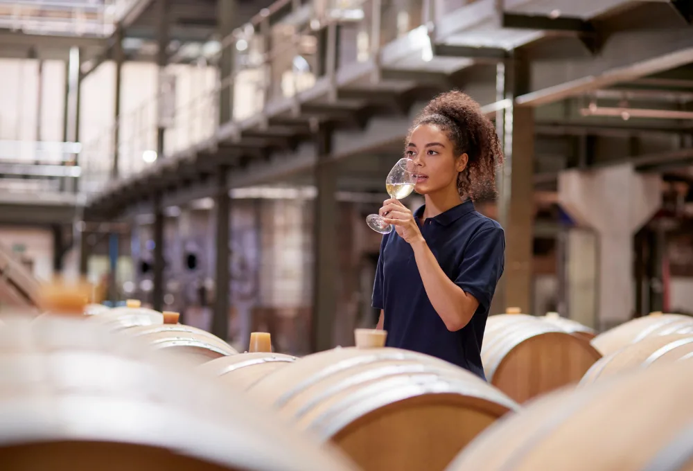 Cata vino como un experto