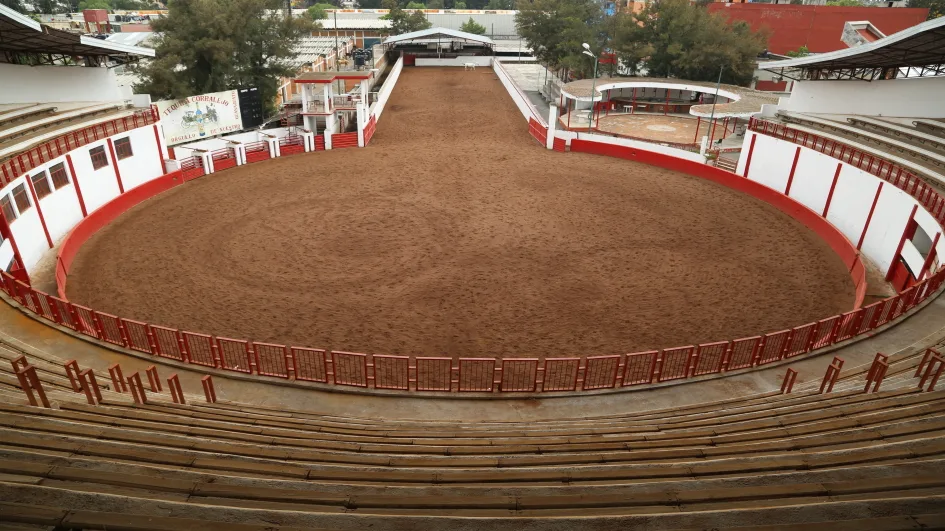 Descubre todo sobre la charreada gratuita en CDMX: fechas, horarios, ubicación, actividades y el significado cultural de este espectáculo ecuestre tradicional mexicano.