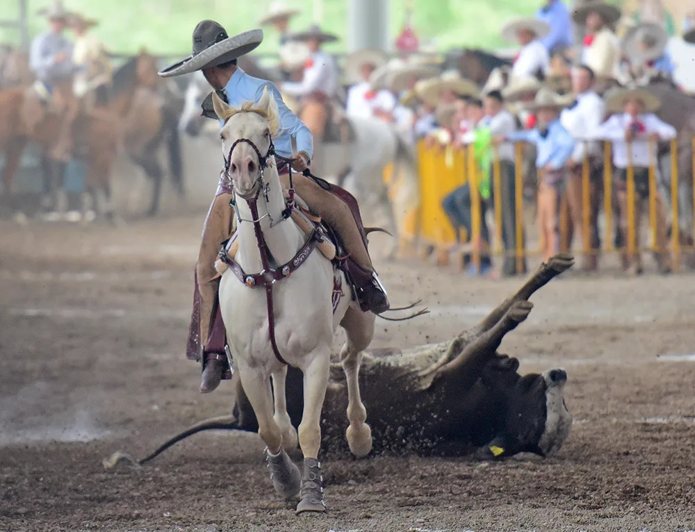 Descubre todo sobre la charreada gratuita en CDMX: fechas, horarios, ubicación, actividades y el significado cultural de este espectáculo ecuestre tradicional mexicano.