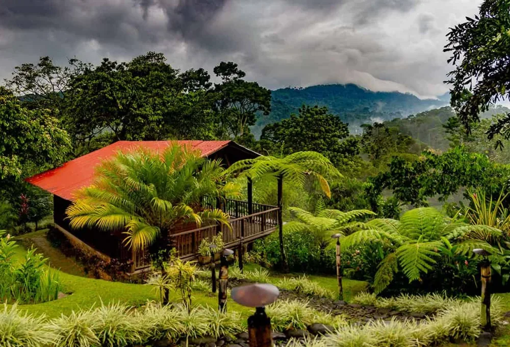 La Ruta del Café en Chiapas. Finca Argovia
