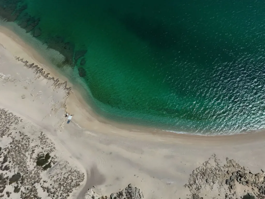 Descubre el destino donde cada año miles de rayas mobulas migran y realizan espectáculos acuáticos únicos. Aprende cuándo ocurre, por qué sucede y cómo vivir esta experiencia natural desde cerca.