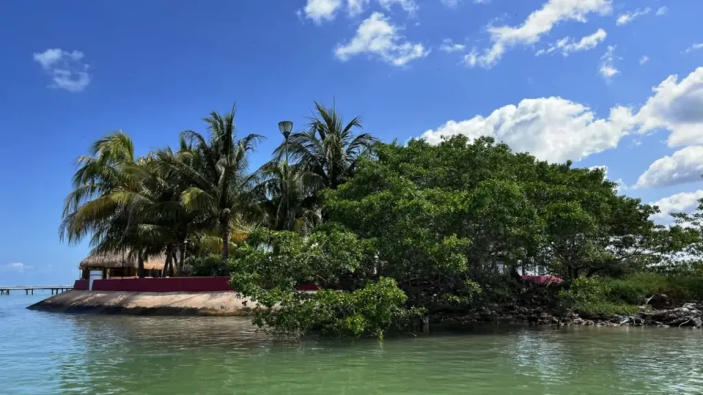 Entre manglares infinitos, aguas tranquilas y el vuelo rosa de los flamencos, Isla Arena es uno de los secretos mejor guardados de Campeche. Este destino poco conocido ofrece naturaleza en estado puro, calma absoluta y una experiencia que ayuda a reconectar contigo, reducir el estrés y redescubrir el placer de viajar sin prisas.