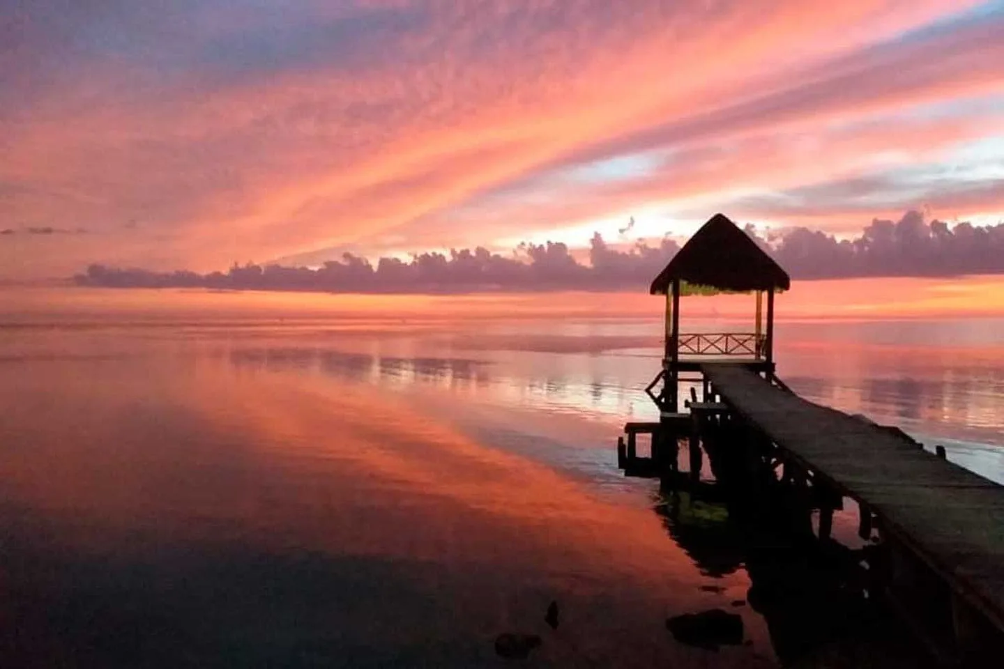 Entre manglares infinitos, aguas tranquilas y el vuelo rosa de los flamencos, Isla Arena es uno de los secretos mejor guardados de Campeche. Este destino poco conocido ofrece naturaleza en estado puro, calma absoluta y una experiencia que ayuda a reconectar contigo, reducir el estrés y redescubrir el placer de viajar sin prisas.
