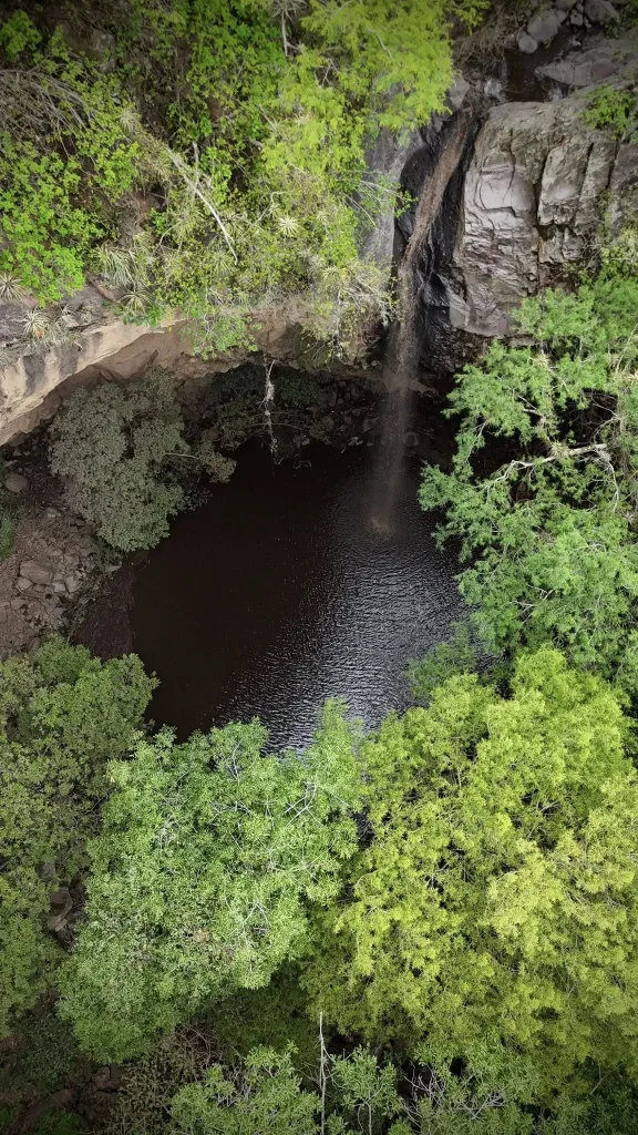 Entre montañas, misticismo y senderos rodeados de naturaleza, Amatlán de Quetzalcóatl, guarda un bosque poco conocido que se ha convertido en el escape perfecto para quienes buscan reconectar, respirar aire puro y descubrir uno de los rincones más espirituales de Morelos.