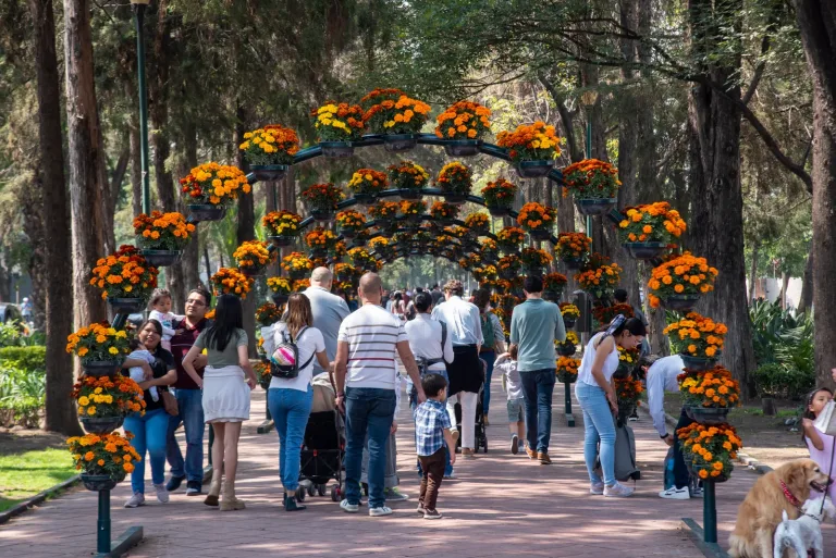 El “Festival Flores y Jardines de Polanco 2026” ya tiene fecha confirmada. Descubre cuándo es, u historia y por qué es uno de los eventos más fotogénicos de la CDMX. ¡No te lo puedes perder!