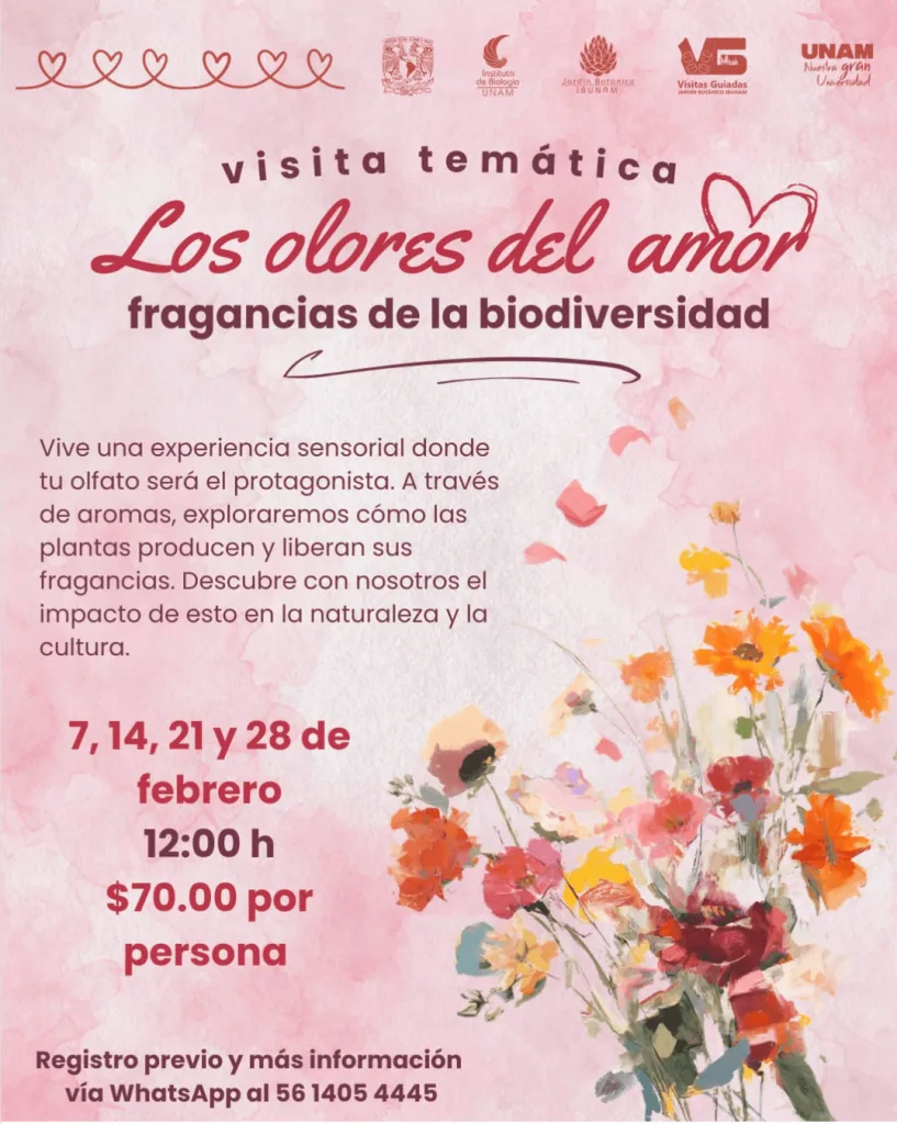 Descubre por qué el Jardín Botánico de la UNAM se convierte en un plan ideal para el 14 de febrero, en CDMX, con una ruta sensorial para explorar plantas, aromas y naturaleza urbana.