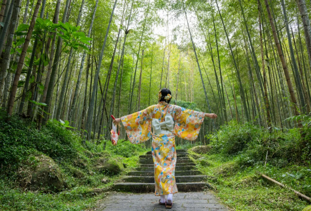 El origen del Shinrin-yoku. Wellness. Salud y Bienestar