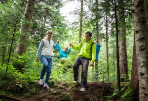 La ciencia del descanso: ¿Por qué caminar entre árboles (Shinrin-yoku) reduce el cortisol tras una semana pasada?