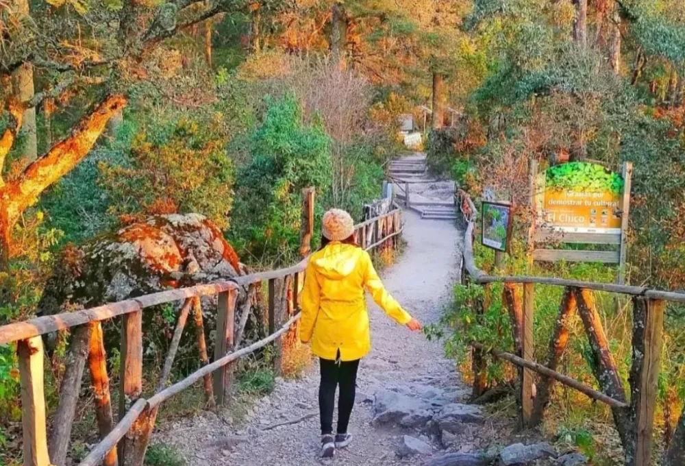 Mineral del Chico, Hidalgo: Naturaleza y neblina en la sierra