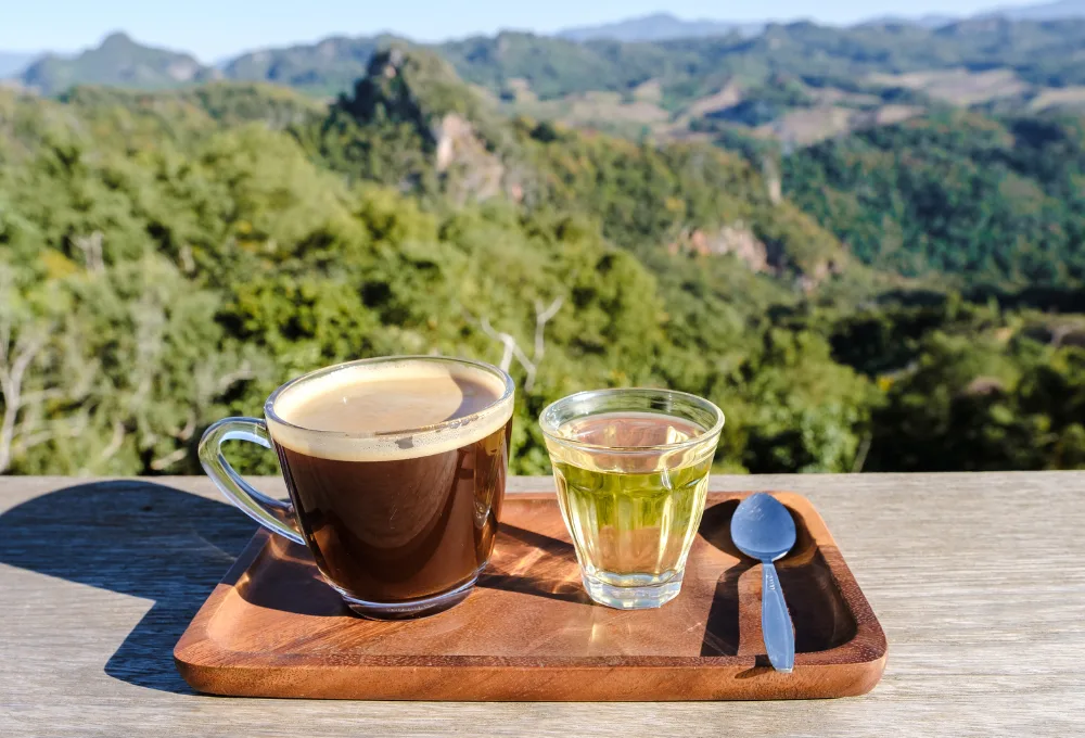 Café de especialidad.