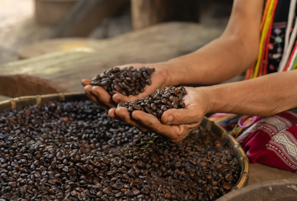 Café de especialidad: Conoce el ritual matutino para empezar el día con energía de la Sierra Madre
