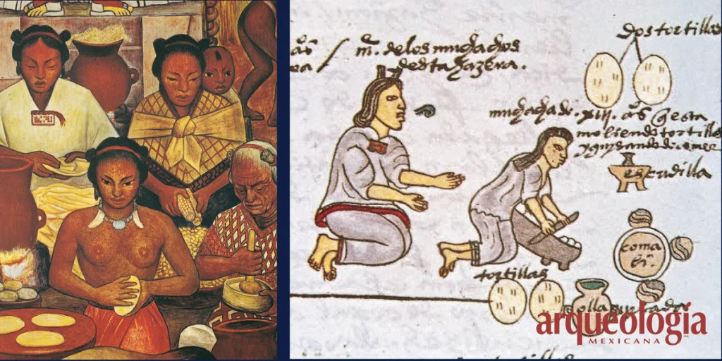 ¿La tortilla es pan? Para ti ¿sí lo es? Descubre por qué este mito es falso y conoce las diferencias históricas, culturales y técnicas entre ambos alimentos.