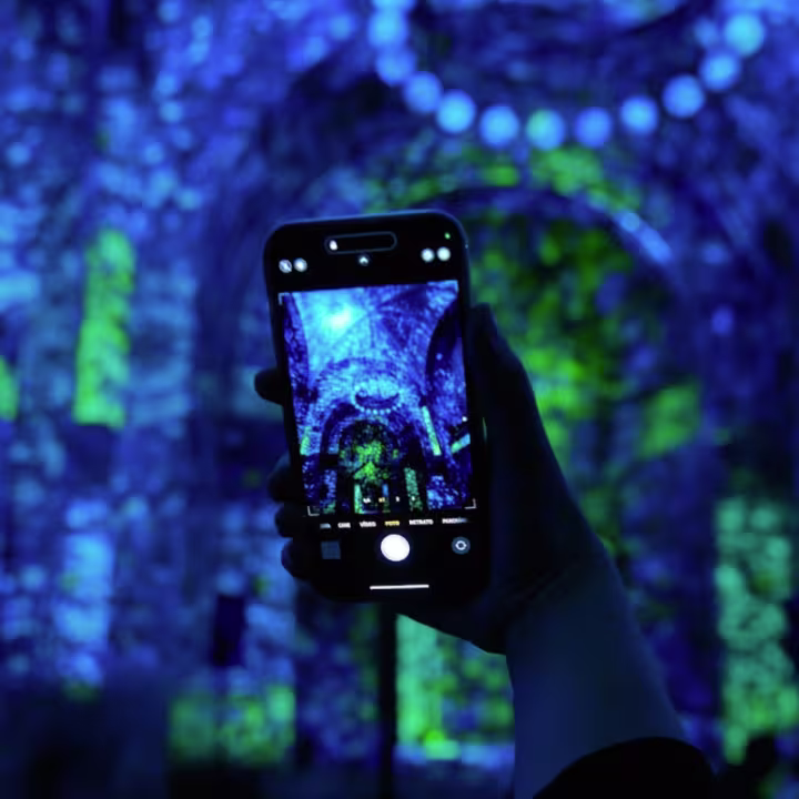 Descubre Era Sauria, la exposición con más de 40 dinosaurios en Toluca, a menos de una hora de CDMX. Te explicamos qué encontrarás, precios y cómo llegar en transporte público paso a paso. ¿Eres fan de los dinosaurios?