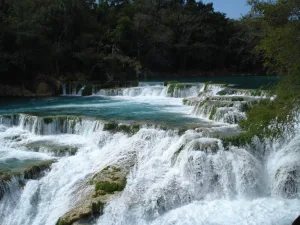 Descubre El Naranjo, en San Luis Potosí, el destino de aguas turquesa en la Huasteca Potosina que puedes visitar con accesos por menos de $100 pesos. Conoce sus cascadas y qué hacer en este paraíso natural. ¿Cuándo te lanzas?