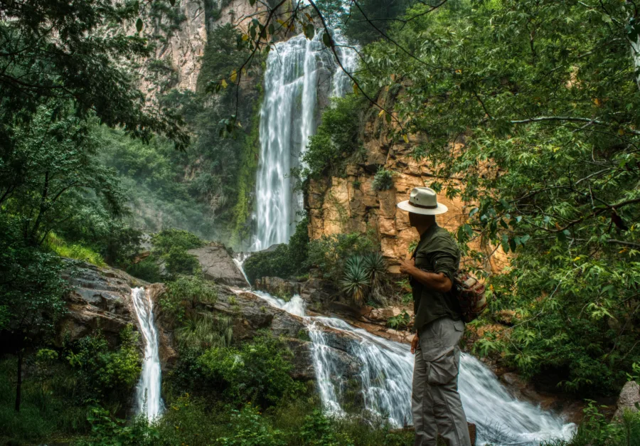 Descubre Guachochi, Pueblo Mágico de Chihuahua y puerta de entrada a la Sierra Tarahumara. Conoce la impresionante Barranca de Sinforosa, conocida como la Reina de las Barrancas, su historia, cultura rarámuri y atractivos naturales. ¿Te gustaría iniciar una nueva aventura?