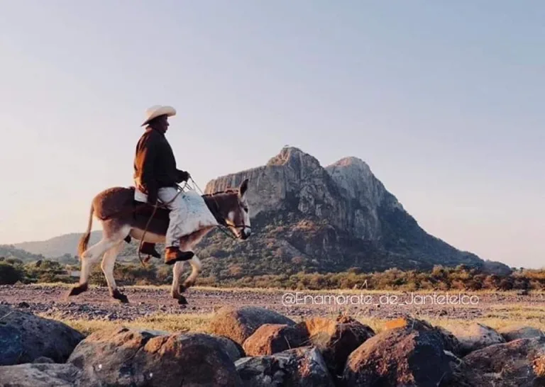 Descubre qué hacer en Jantetelco, Morelos, un destino lleno de historia, naturaleza y cultura. Anótalo dentro de tu agenda viajera. 