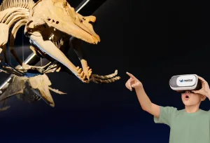 El museo alberga una de las colecciones de esqueletos de cetáceos más completas de Latinoamérica.