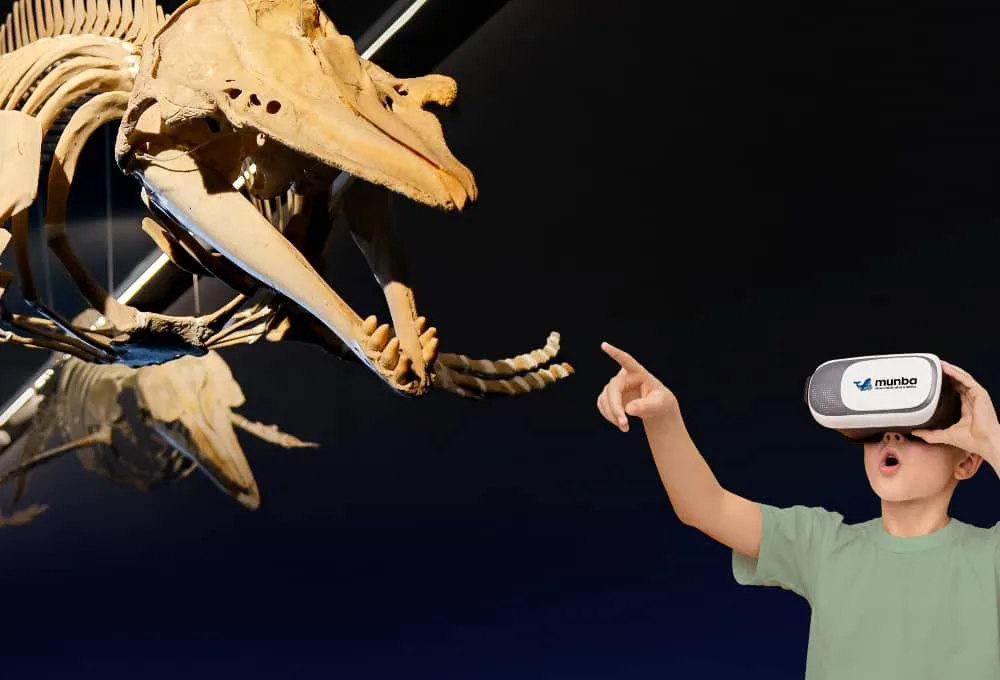 Descubre el Museo Nacional de la Ballena en Mazatlán: qué ver y por qué visitarlo