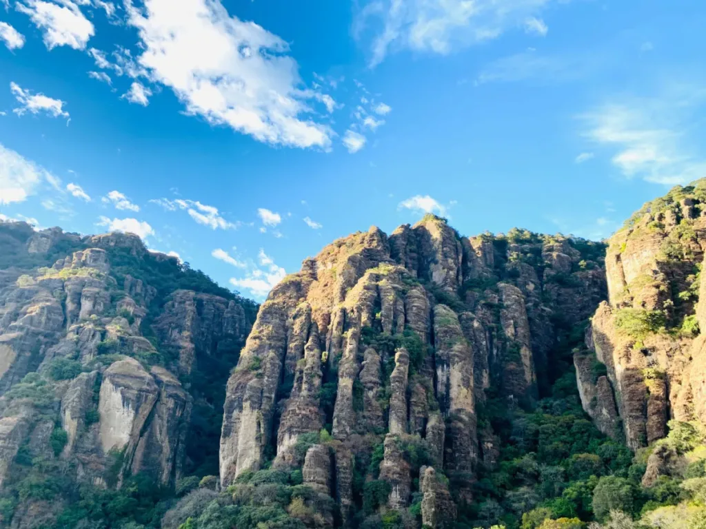 Descubre un tesoro natural escondido cerca de la CDMX en Tepoztlán, Morelos. Aprende cómo llegar, qué esperar de su ecosistema de bosque nuboso, historia de la región y consejos prácticos para tu visita en la temporada fría. ¿Te lanzas?