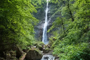 Descubre un tesoro natural escondido cerca de la CDMX en Tepoztlán, Morelos. Aprende cómo llegar, qué esperar de su ecosistema de bosque nuboso, historia de la región y consejos prácticos para tu visita en la temporada fría. ¿Te lanzas?