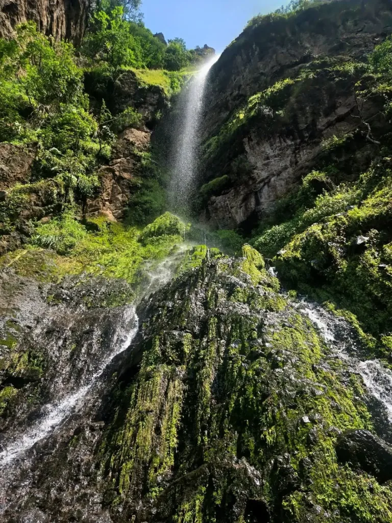 Descubre un tesoro natural escondido cerca de la CDMX en Tepoztlán, Morelos. Aprende cómo llegar, qué esperar de su ecosistema de bosque nuboso, historia de la región y consejos prácticos para tu visita en la temporada fría. ¿Te lanzas?