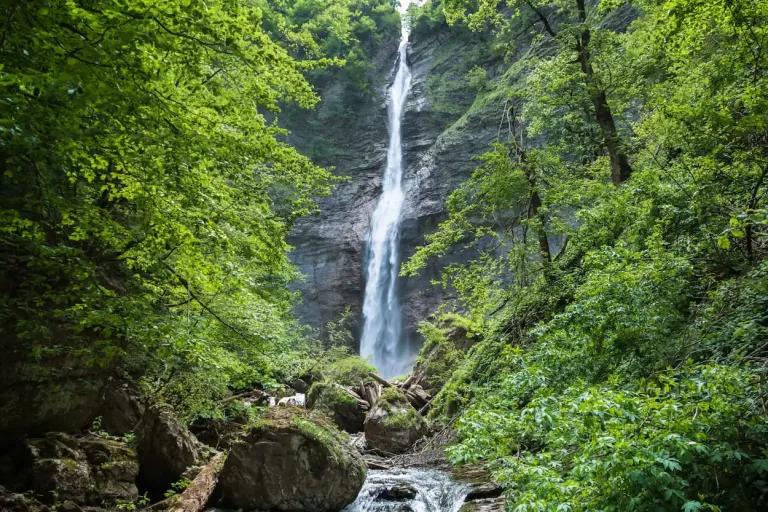 Descubre un tesoro natural escondido cerca de la CDMX en Tepoztlán, Morelos. Aprende cómo llegar, qué esperar de su ecosistema de bosque nuboso, historia de la región y consejos prácticos para tu visita en la temporada fría. ¿Te lanzas?