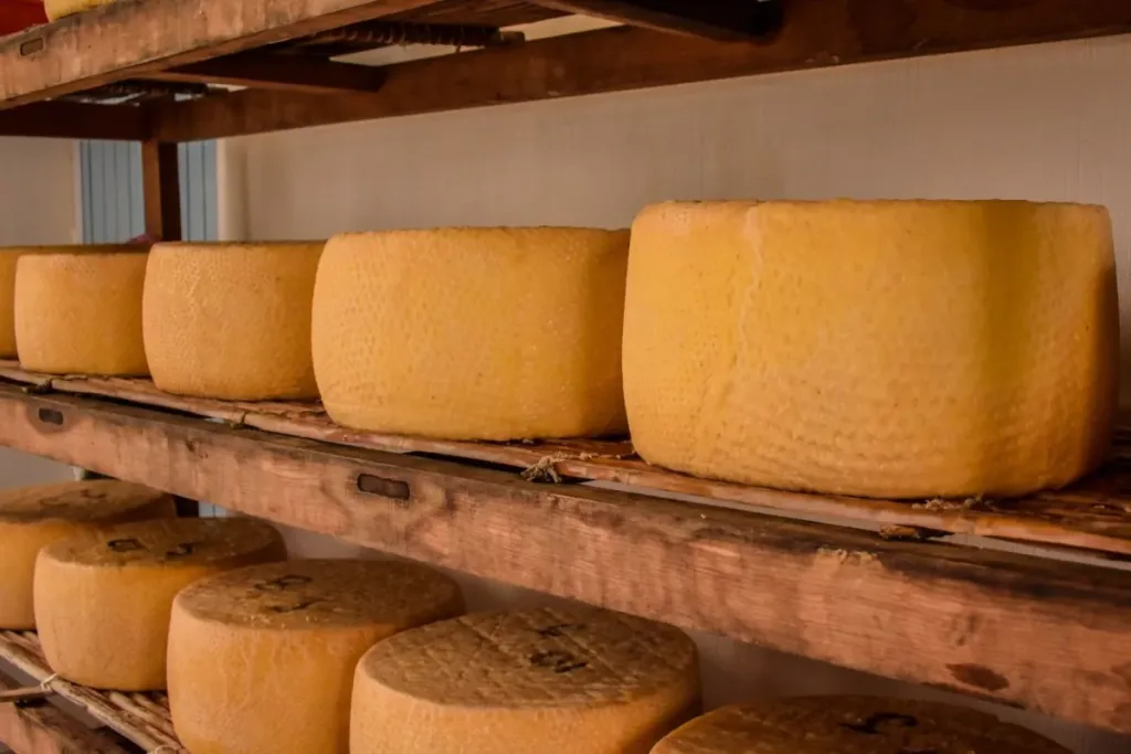 Descubre Cotija, Michoacán, el auténtico paraíso del queso Cotija en México. Historia, tradición, cómo llegar, qué hacer y atractivos turísticos en este Pueblo Mágico lleno de sabor y cultura.