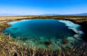 Cuatro Ciénegas, Coahuila: Guía para descubrir el oasis más asombroso del desierto mexicano