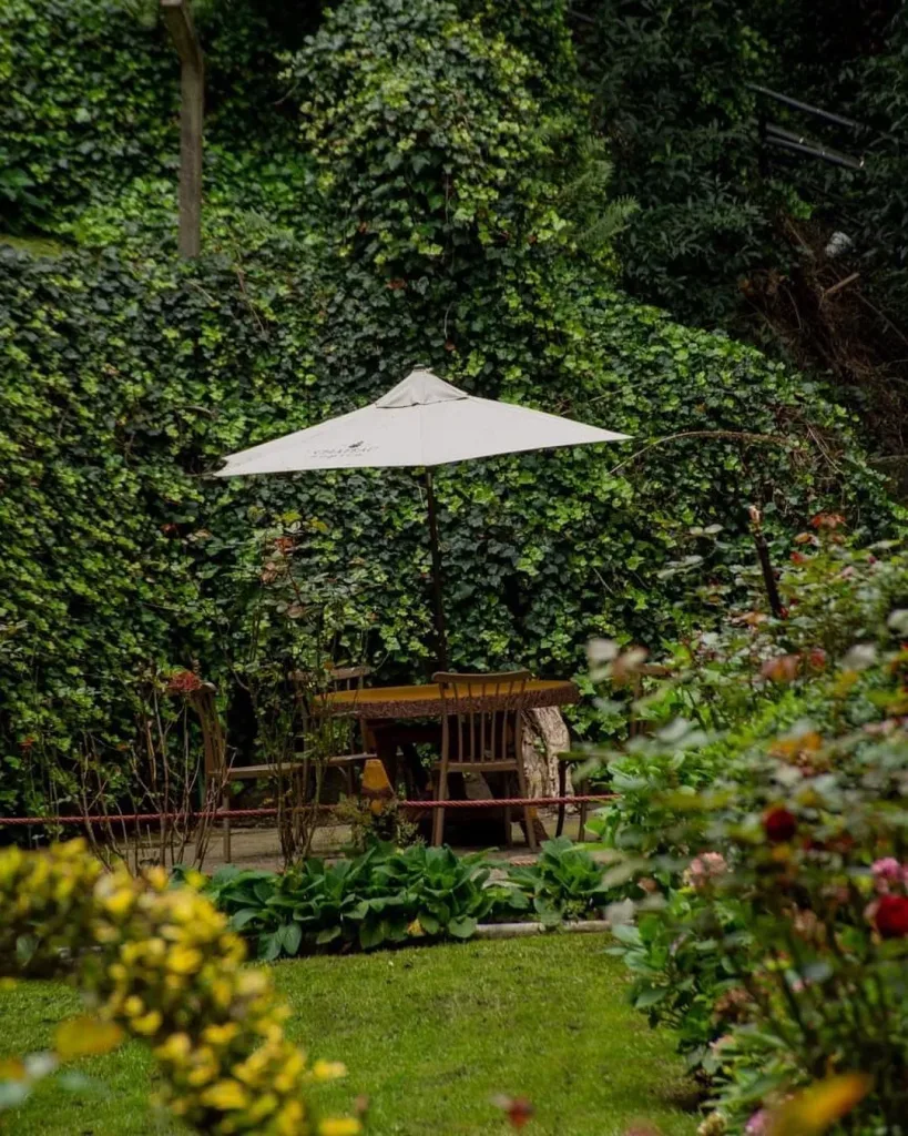 Descubre La Escondida en La Marquesa, un restaurante mexicano rodeado de bosque que parece sacado de Japón. Conoce su historia, ubicación, experiencia gastronómica y por qué es uno de los secretos mejor guardados cerca de Santa Fe. ¿Ya fuiste?