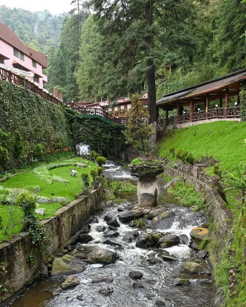 Descubre La Escondida en La Marquesa, un restaurante mexicano rodeado de bosque que parece sacado de Japón. Conoce su historia, ubicación, experiencia gastronómica y por qué es uno de los secretos mejor guardados cerca de Santa Fe. ¿Ya fuiste?