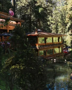 Descubre La Escondida en La Marquesa, un restaurante mexicano rodeado de bosque que parece sacado de Japón. Conoce su historia, ubicación, experiencia gastronómica y por qué es uno de los secretos mejor guardados cerca de Santa Fe. ¿Ya fuiste?