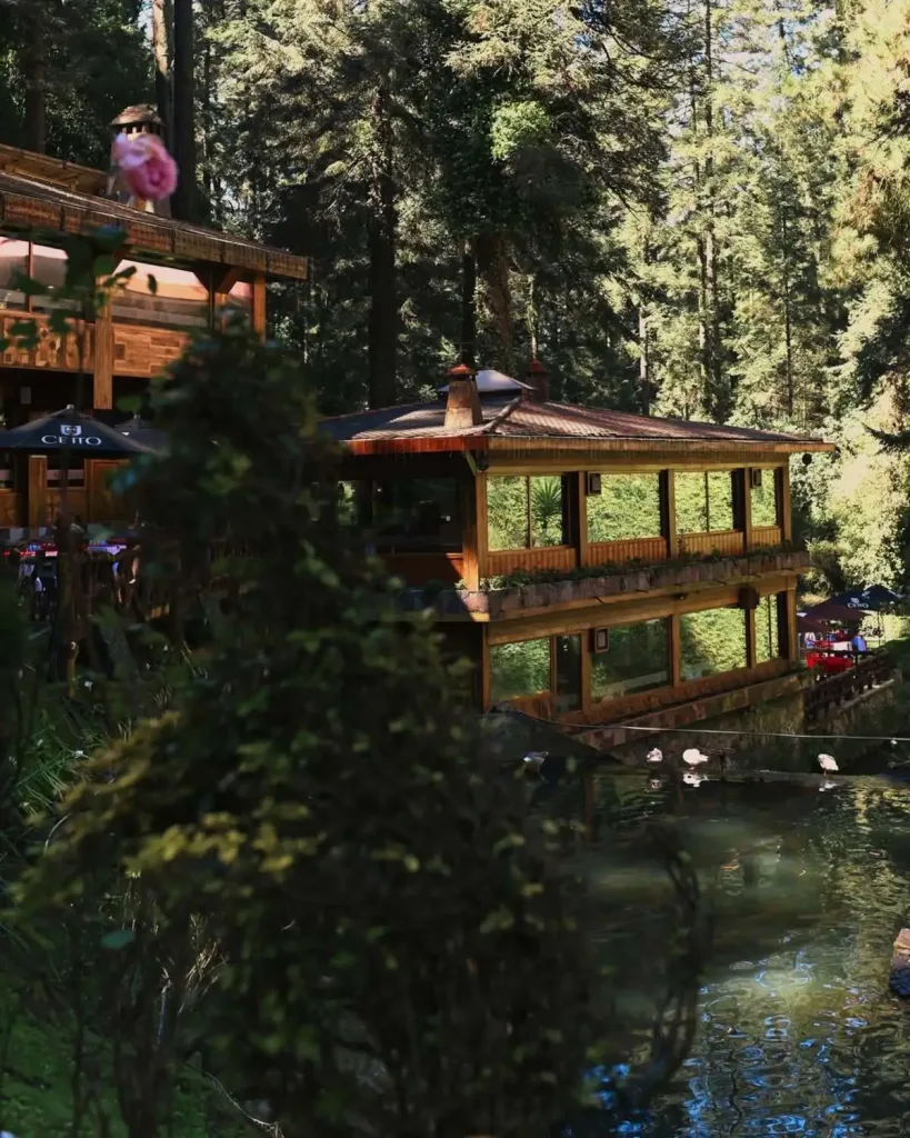 Descubre La Escondida en La Marquesa, un restaurante mexicano rodeado de bosque que parece sacado de Japón. Conoce su historia, ubicación, experiencia gastronómica y por qué es uno de los secretos mejor guardados cerca de Santa Fe. ¿Ya fuiste?