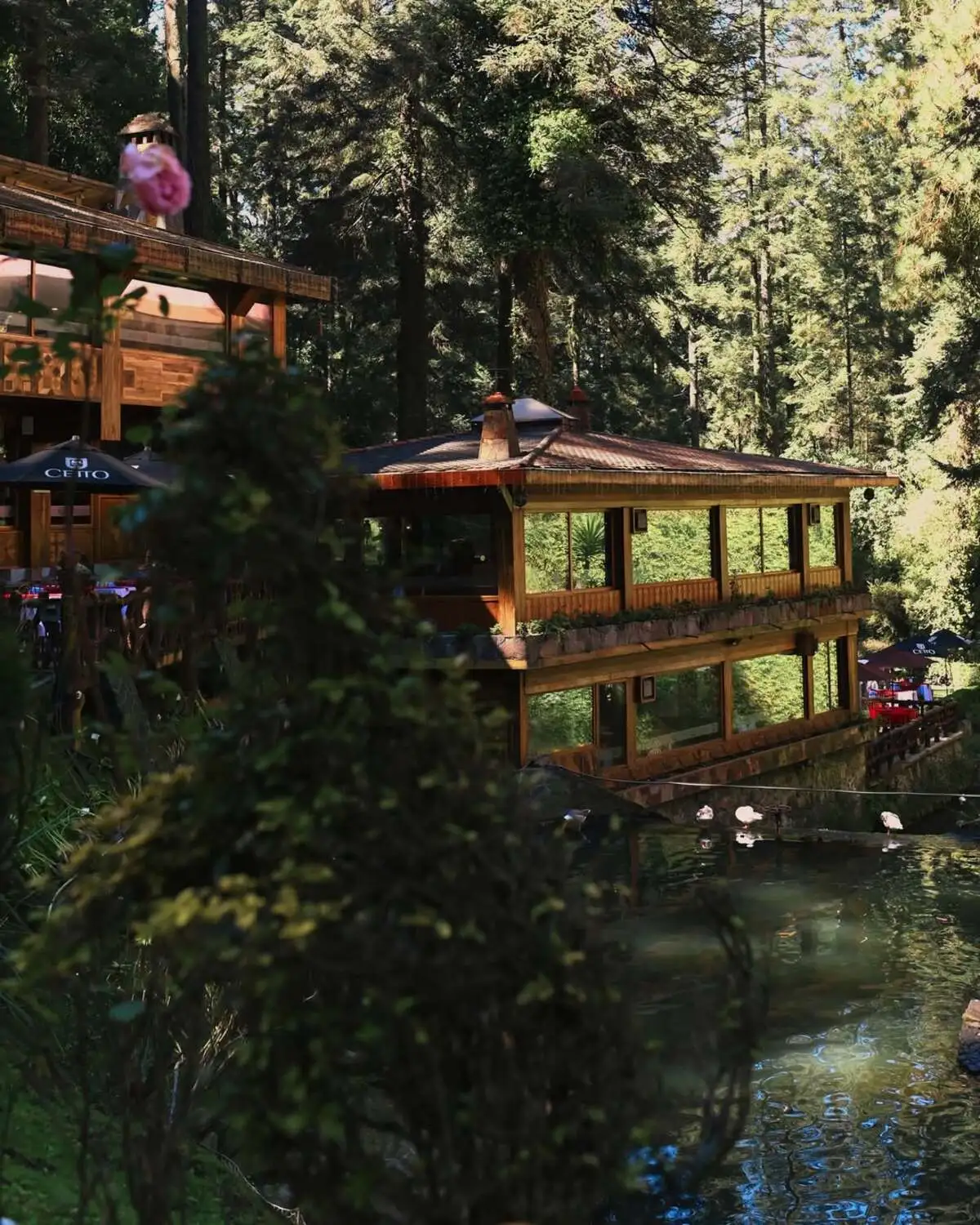 Parece un bosque japonés, pero es un restaurante mexicano escondido cerca de Santa Fe