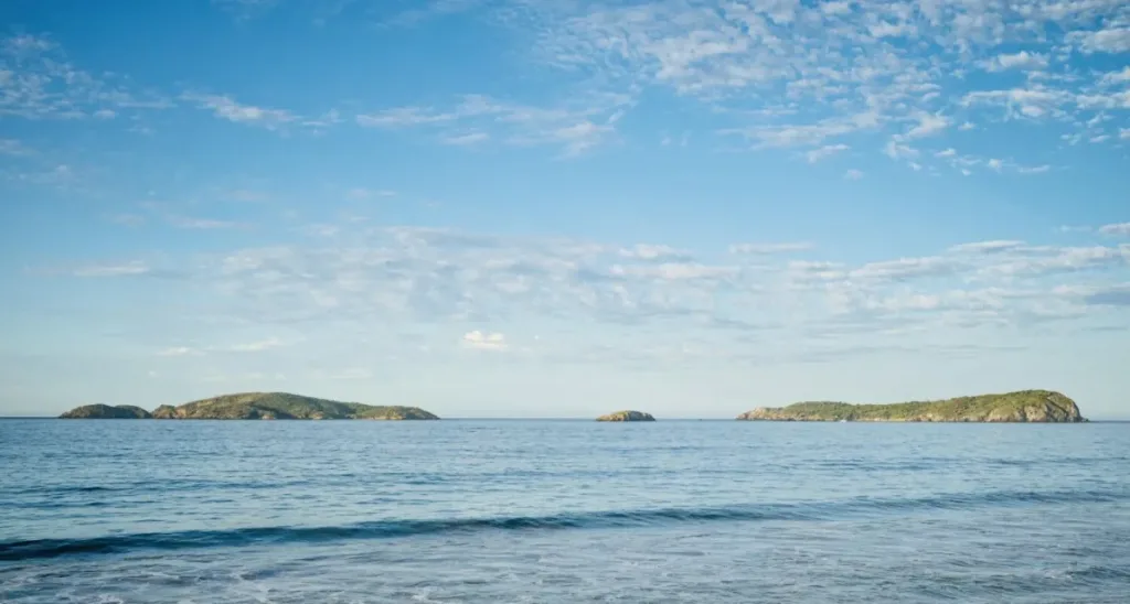 ¡Descubre la ruta más bella del Pacífico! GUÍA COMPLETA por Costalegre, Jalisco: de los manglares de La Manzanilla a la magia de Isla Cocinas y Boca de Tomatlán. ¿Te animas a esta nueva aventura?