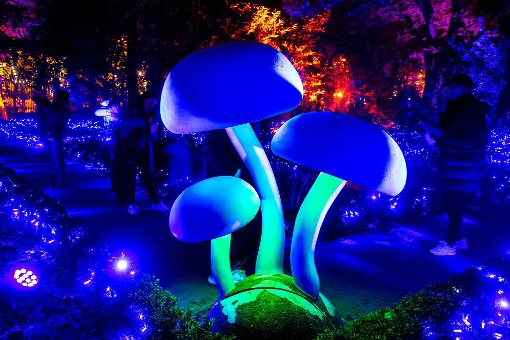 Descubre 5 experiencias inmersivas en CDMX que no te debes perder. Planes únicos para vivir arte, cine y fantasía en primera persona. ¿A cuál te animas a ir?