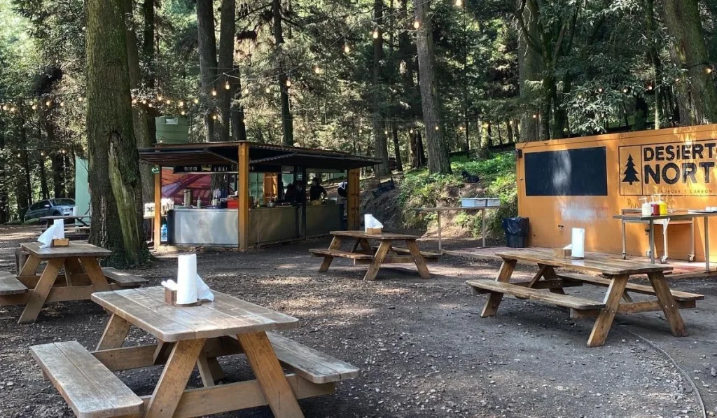 Descubre 5 planes al aire libre para disfrutar la primavera en CDMX: picnic en el Museo Tamayo, Parque Masayoshi Ohira, brunch en Desierto Norte, cine en la Cineteca y paseo en La Mexicana. ¿A cuál irás?