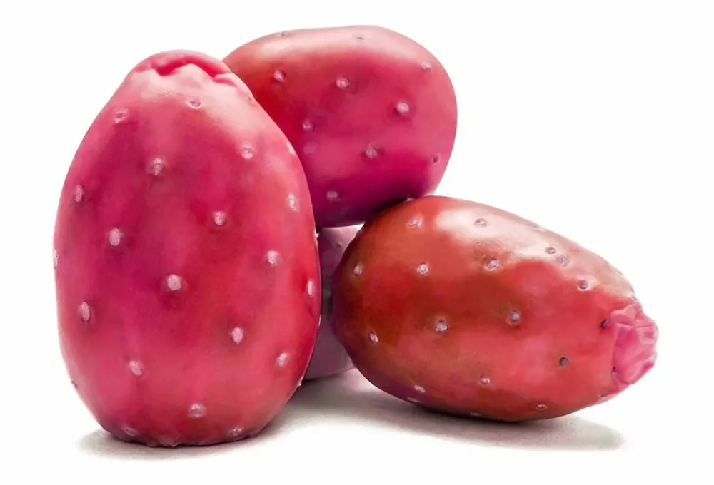 Descubre los 15 tesoros ocultos que todo mexicano debe probar. Xoconostle