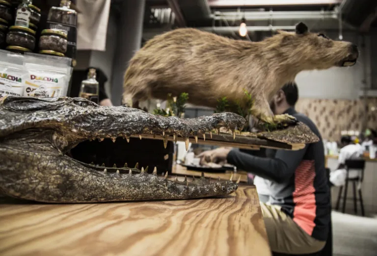 Del león al cocodrilo: Historia y secretos del santuario gourmet llamado Mercado de San Juan