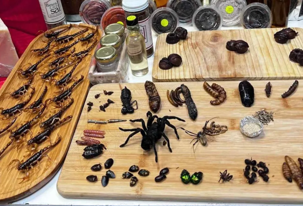 Mercado de San Juan. Alacranes, gusanos de maguey