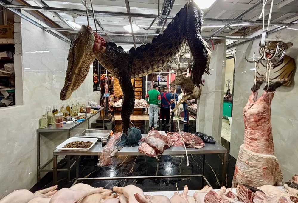 Mercado de San Juan. Come cocodrilos, león...