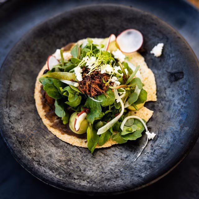 ¡Mucho más que "hierbas"! Descubre por qué los quelites son el superalimento mexicano definitivo en 2026. Conoce su historia milenaria, su asombroso valor nutricional y cómo están conquistando a la alta cocina. ¿Los has probado?