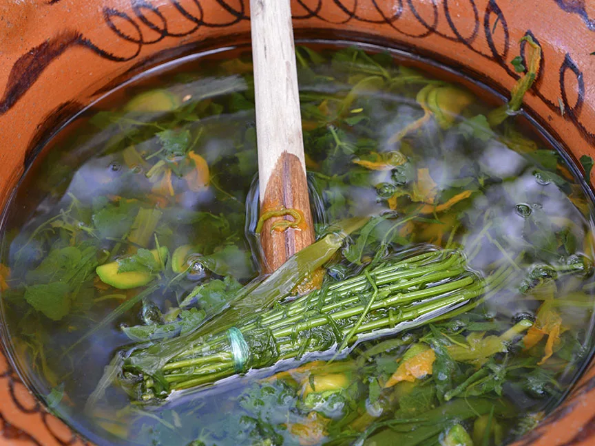 ¡Mucho más que "hierbas"! Descubre por qué los quelites son el superalimento mexicano definitivo en 2026. Conoce su historia milenaria, su asombroso valor nutricional y cómo están conquistando a la alta cocina. ¿Los has probado?