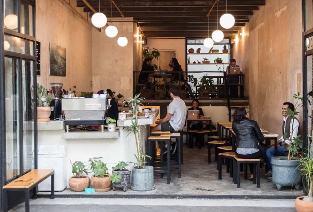 Cafetería CICATRIZ. Ruta del Café de Especialidad en la Colonia Juárez: