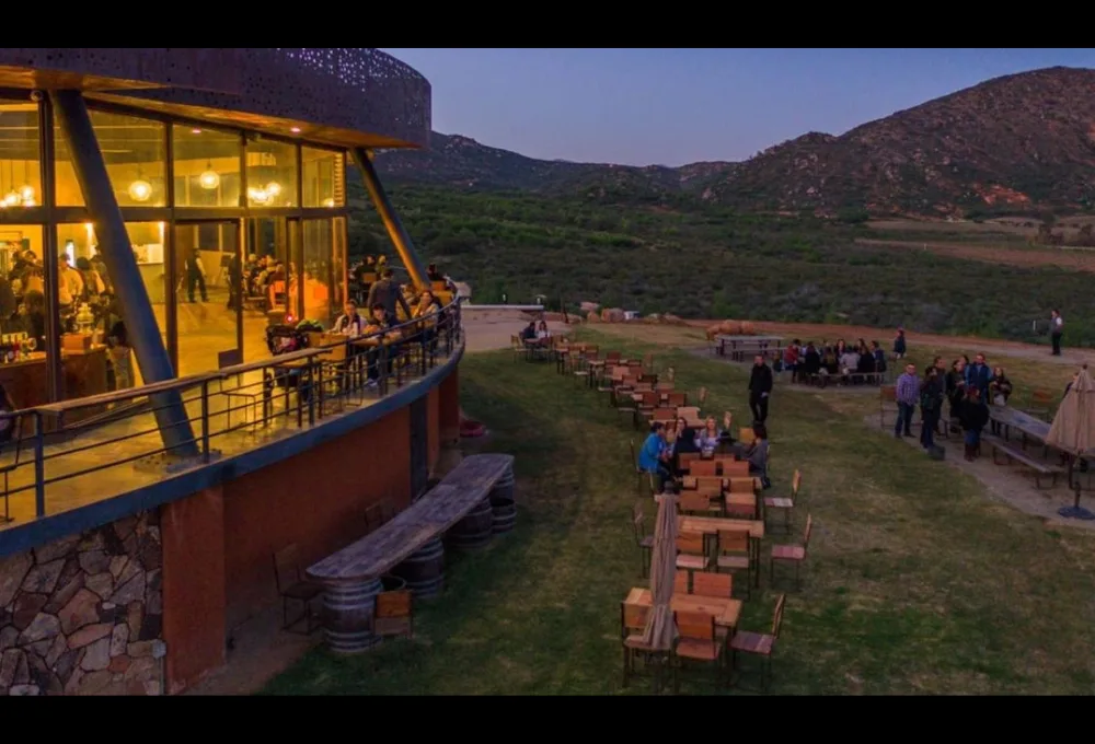 Decantos Vinícola: Syrah