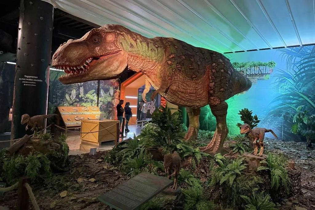 Descubre Era Sauria, la exposición con más de 40 dinosaurios en Toluca, a menos de una hora de CDMX. Te explicamos qué encontrarás, precios y cómo llegar en transporte público paso a paso. ¿Eres fan de los dinosaurios?